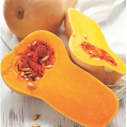 Winter Squash - Waltham Butternut (Bulk Seed)