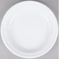 10PWF DART 10.25" WHITE PLASTIC PLATE, 500/CS .