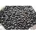 BEANS LENTILS BLACK BELUGA OG | 25 LBS