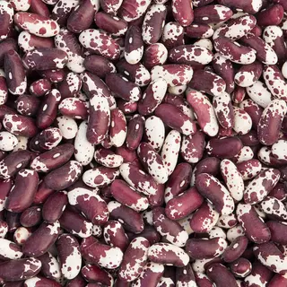 Bean - Jacob's Cattle (Organic Seed)
