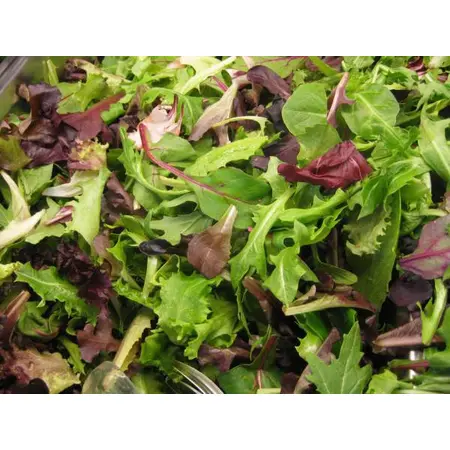 SALADS SPRING MIX OG | 3 LBS
