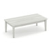 PL219 24x49 COFFEE TABLE- Silver Birch