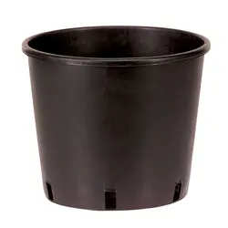 Niccolai Nursery Pot