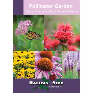 Value Pack - Pollinator Garden (Seed)