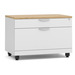 PL1012 TWO DRAWER PERSONAL CABINET- WHITE