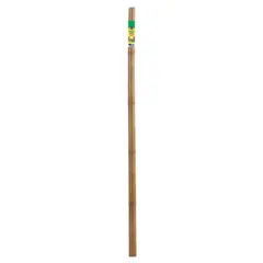 Orbit Miracle-Gro Bamboo Stakes