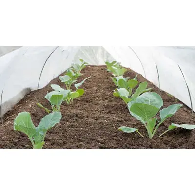 Plant Guard Row Cover