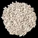 BEANS CANNELLINI OG | 25 LBS
