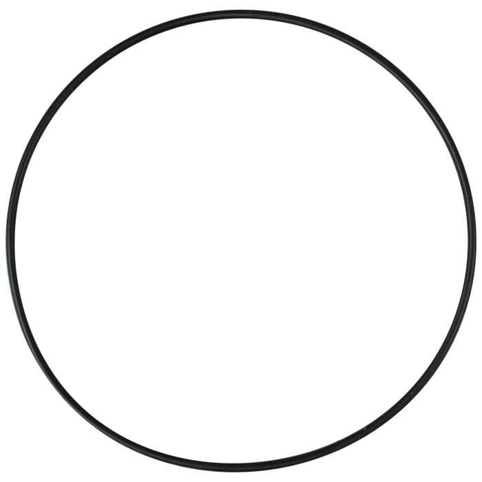 O-Ring (OR-PP-874)