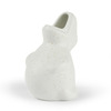 Container Dino 5.25" Zakkusaurus White