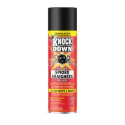 Kuus Knock Down Spider Killer