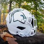 Alternate Logo Game Football Helmet Decals
