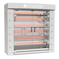 Rotisol FB1400-6G-SS FlamBoyant Infrared Rotisserie Oven Gas, Countertop, 6 Spit