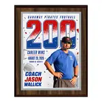 Deluxe Vividcolor AIO Award Plaques with Metal Border