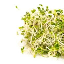 Mumm's Broccoli Brassica Blend Sprouts