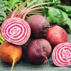 Beet - Chioggia (Bulk Seed)