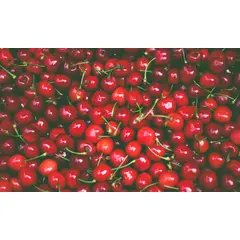 CHERRIES TART SWEETENED | 5 LBS