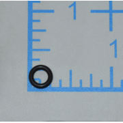 O-Ring (P-64680)