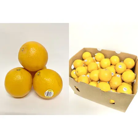 ORANGE VALENCIA FANCY OG | 72 CT