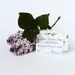 Dot & Lil Bar Soap