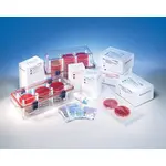 GasPak™ EZ Gas Generating Container System (BD Diagnostics)