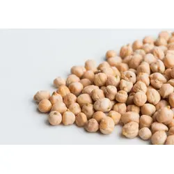 Garbanzo Bean Sprouts