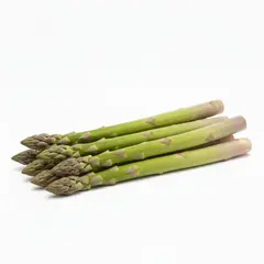 ASPARAGUS OG | 11 LBS