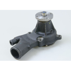 Water Pump W/Gasket
