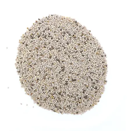 CHIA WHITE OG | 5 LBS
