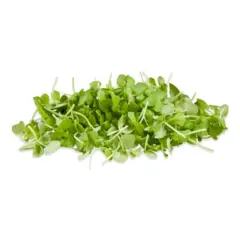 Microgreens - Basil (Bulk Seed)