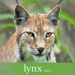 8.5 X 11 80 LB COVER WHITE LYNX DIGITAL COVER COPY PAPER, 250/RM 8 RMS/CS
