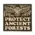 PROTECT ANCIENT FORESTS - STICKER