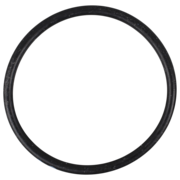 O-Ring (OR-PP-3015)