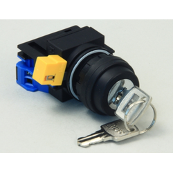 Switch, Key