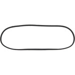 Windshield Gasket