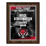Standard Vividcolor AIO Award Plaques with Metal Border