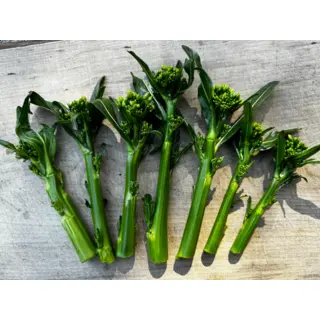 Cabbage - Fuubi Choi Sum (Seed)