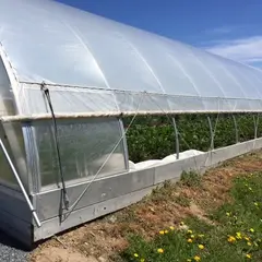 Greenhouse Plastic
