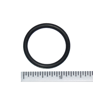 BWG Hydro Air Micro Jet O-Ring 30-913E70
