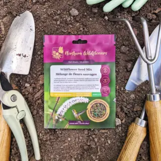 Part Shade Wildflower Mix (Seed)
