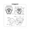 Cast Iron Solid Shaft CCW Rotation Pump With Rear Port