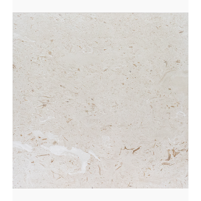 18X18 Shell Stone