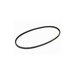 Drive Belt