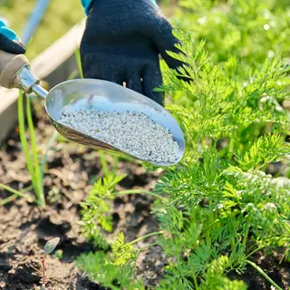 Garden Fertilizer