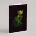 Plant Greeting Cards