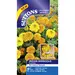 Marigold - Kushi (Seed)