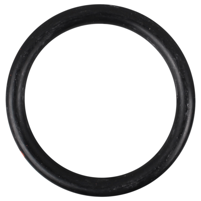 O-Ring (OR-PP-776B)
