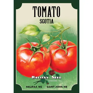 Heritage Packet: Tomato - Scotia (Seed)