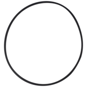 O-Ring (OR-PP-202S)