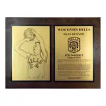 90 Series Hall of Fame & Tribute Award Plaques